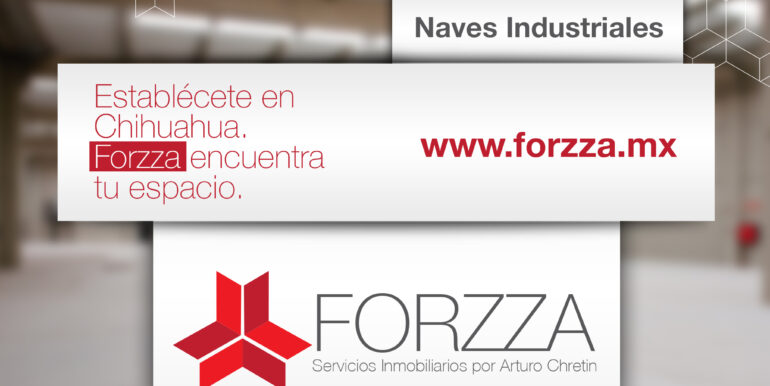 Forzza Naves Industriales